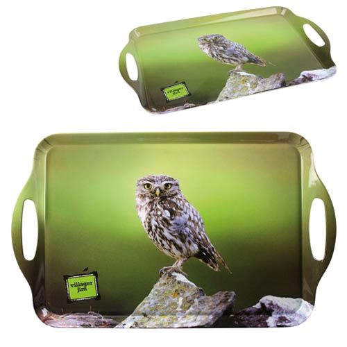 Lucy Little Owl Tray