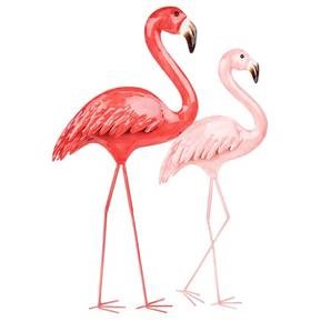 Tropical Flamingo Double
