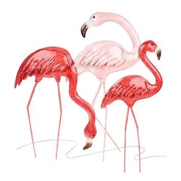 Tropical Flamingo Triple